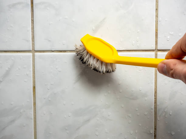 Best Affordable Mold Removal  in North Richland Hills, TX