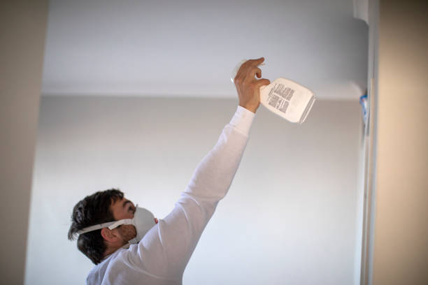 Best Best Mold Removal Companies  in North Richland Hills, TX